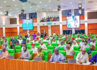 House of Reps Sets Aside Motion on Renaming Niger Delta Ministry