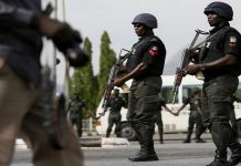 Three Dogs Seized as Police Detain Owner After Security Guard’s Deadly Attack