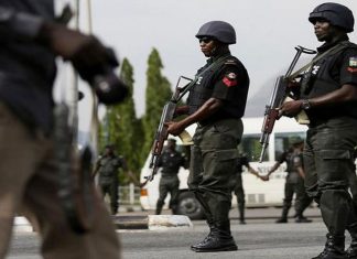 Three Dogs Seized as Police Detain Owner After Security Guard’s Deadly Attack