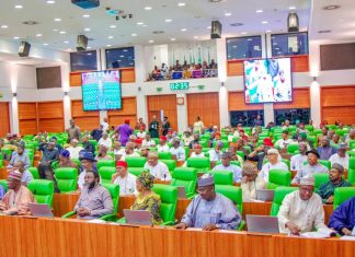 House of Reps Summons Ministers, MDs on Renewable Energy Fund Utilization